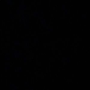 Meet your Posher, Mona